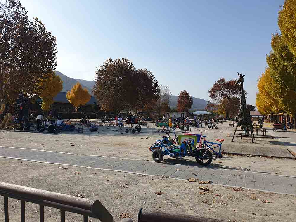 402.jpg