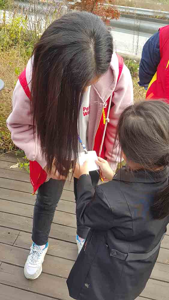 20191102_124227.jpg