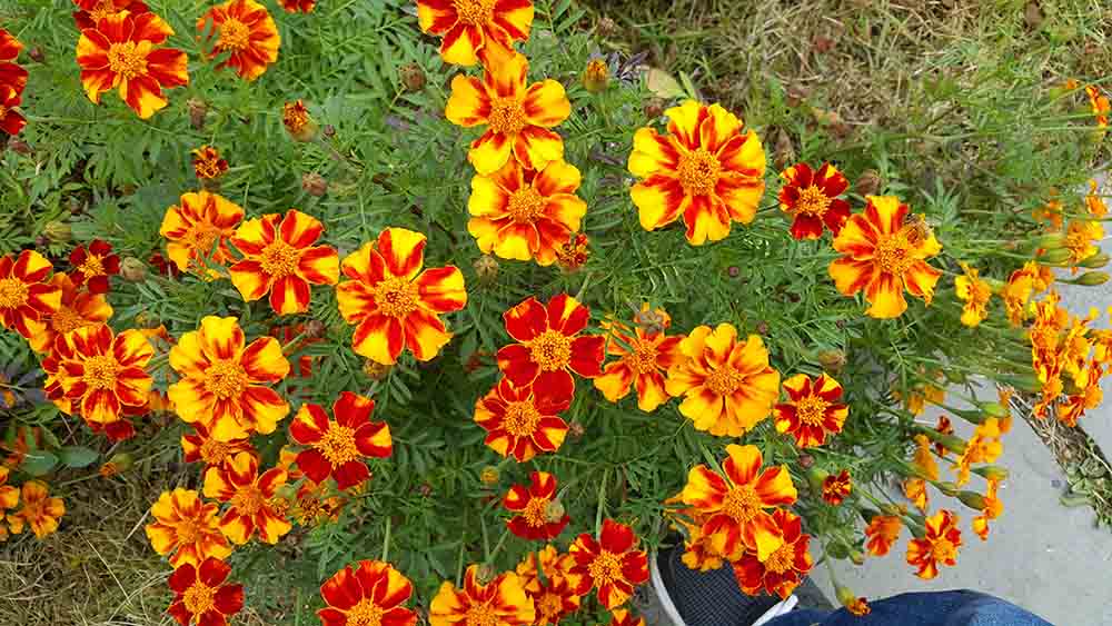 20191102_130237.jpg