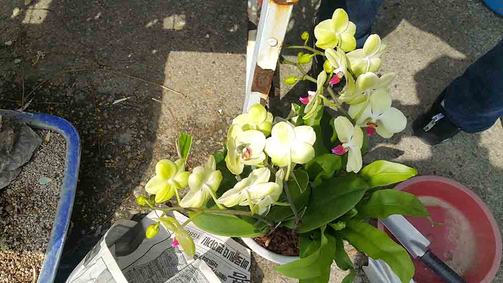 20190413_100006.jpg