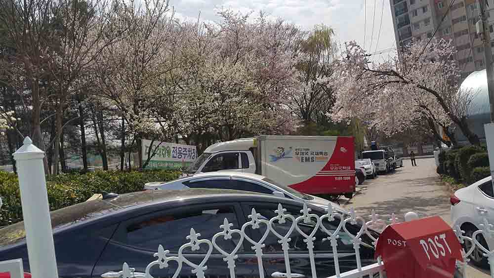 20190413_100310.jpg