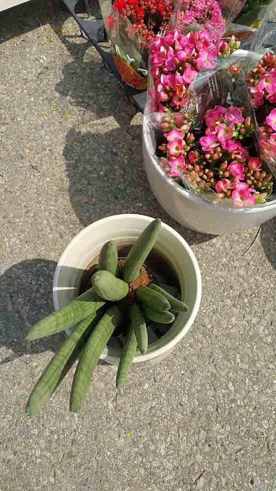 20190413_100304.jpg