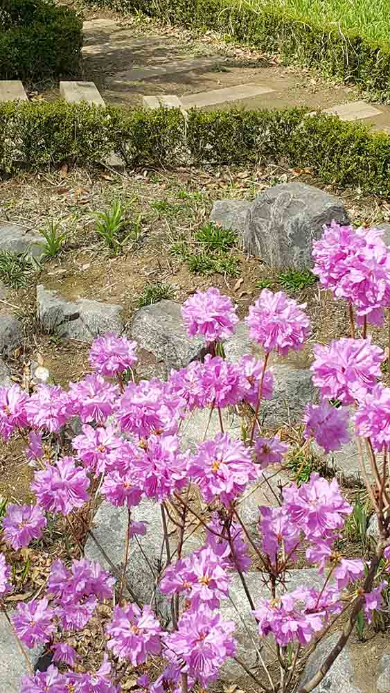 20190413_100307.jpg