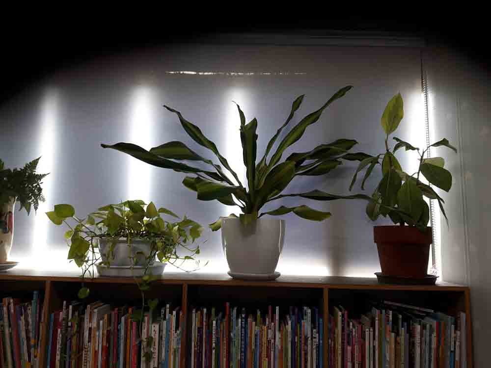 05.jpg