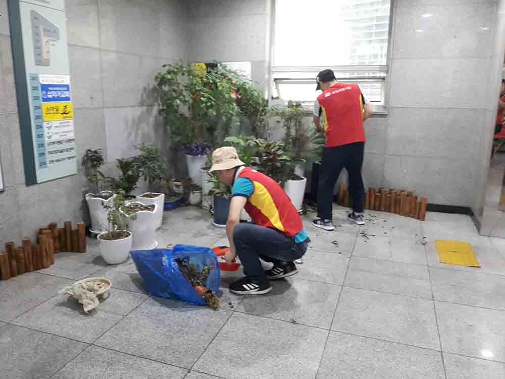 01.jpg