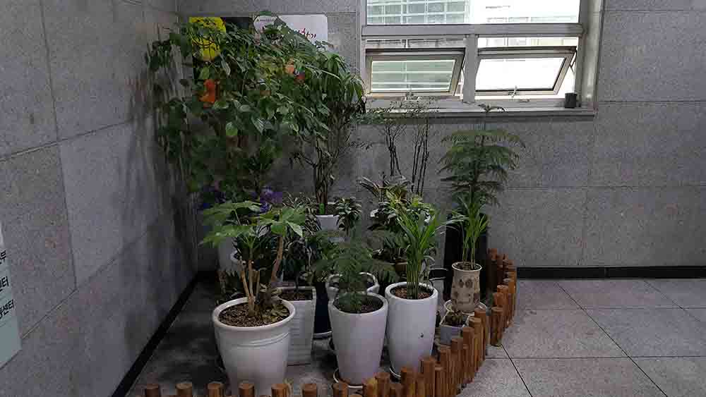 20180804_113330.jpg