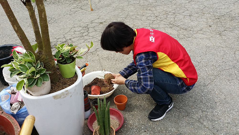 20170408_113405.jpg