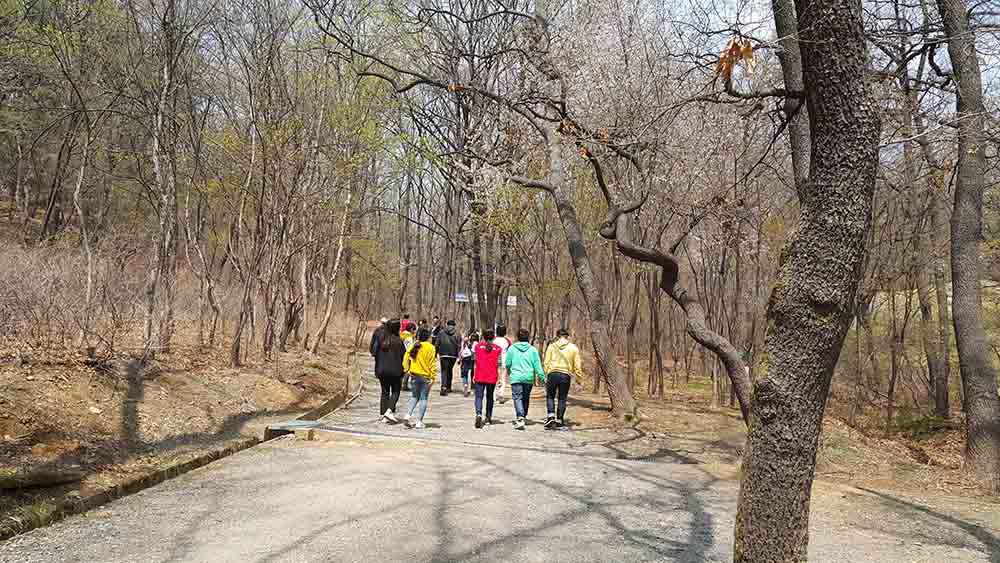 20190413_121313.jpg
