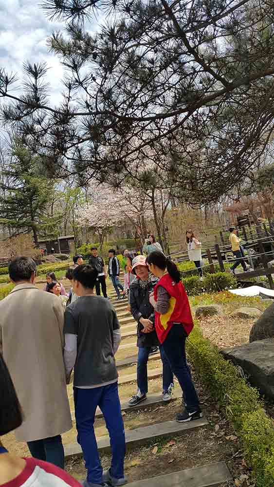 20190413_123839.jpg
