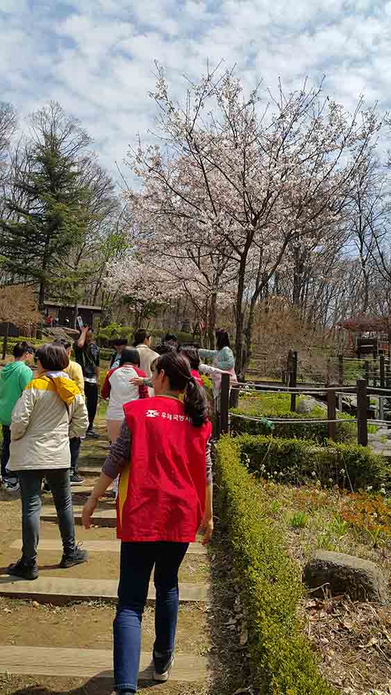 20190413_123854.jpg