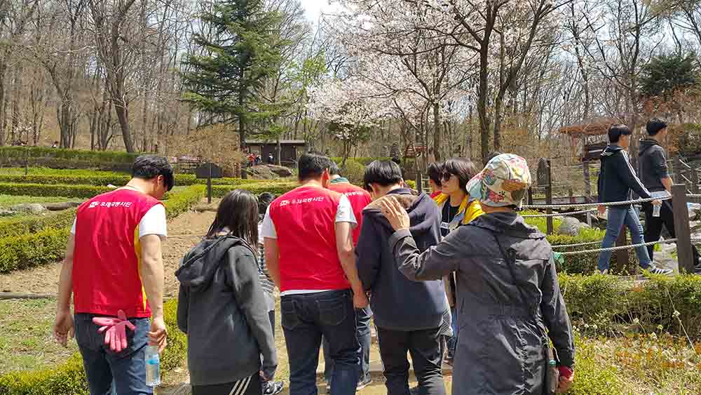 20190413_123907.jpg