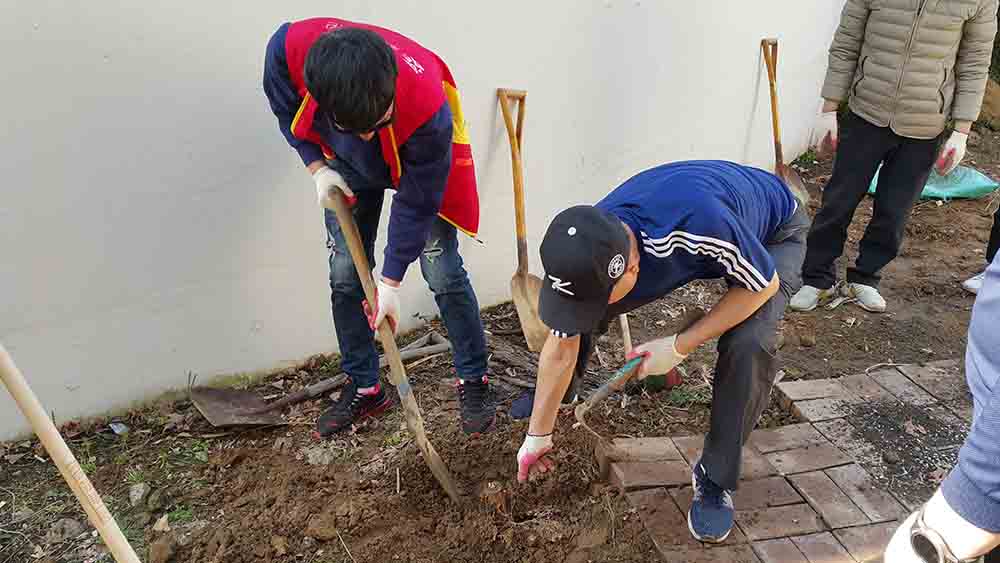 20190413_155631.jpg