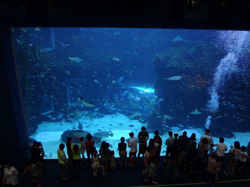 DSC07548.JPG