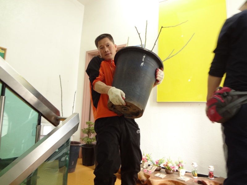 새그림DSC0201016.JPG