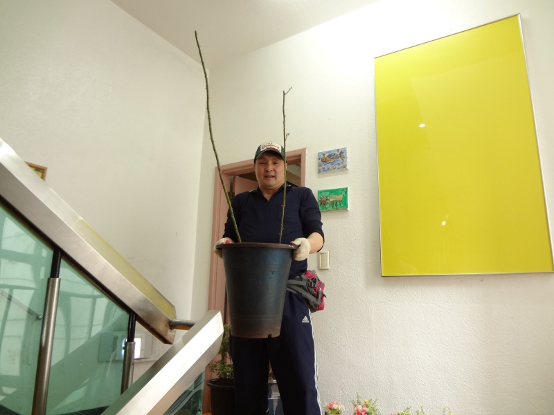 새그림DSC0201117.JPG