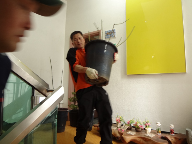 새그림DSC0200915.JPG