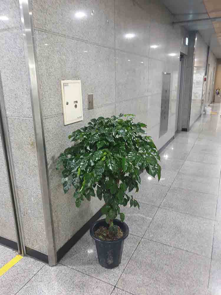 203.jpg