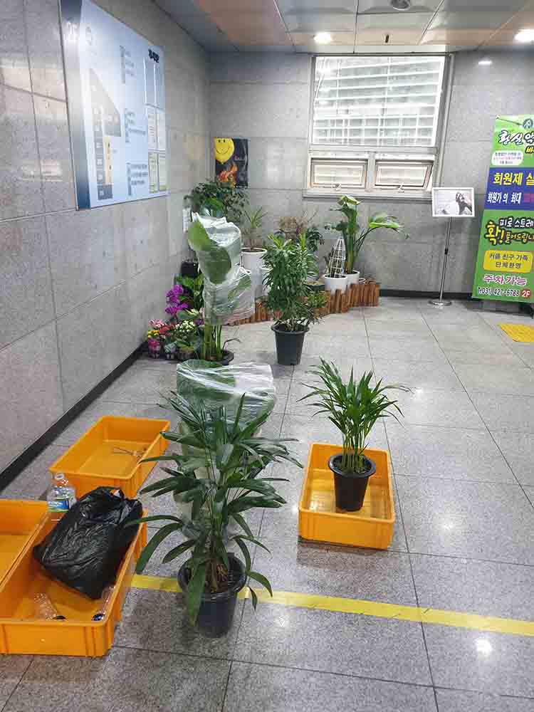 201.jpg