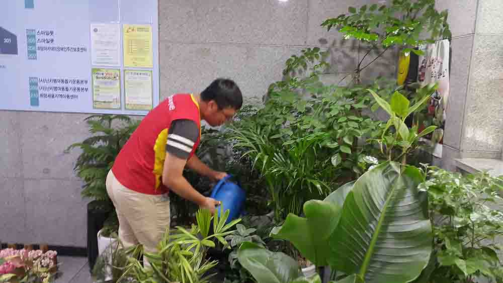 20190601_111537.jpg