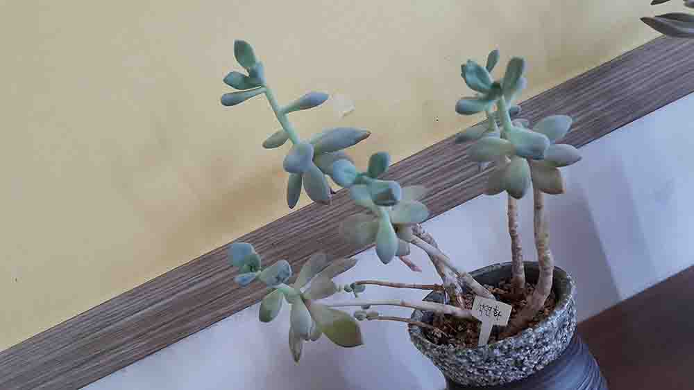 20190601_115620.jpg