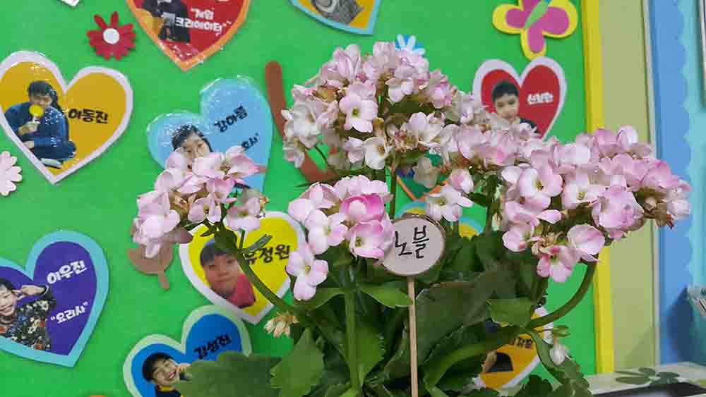 20190601_115527.jpg