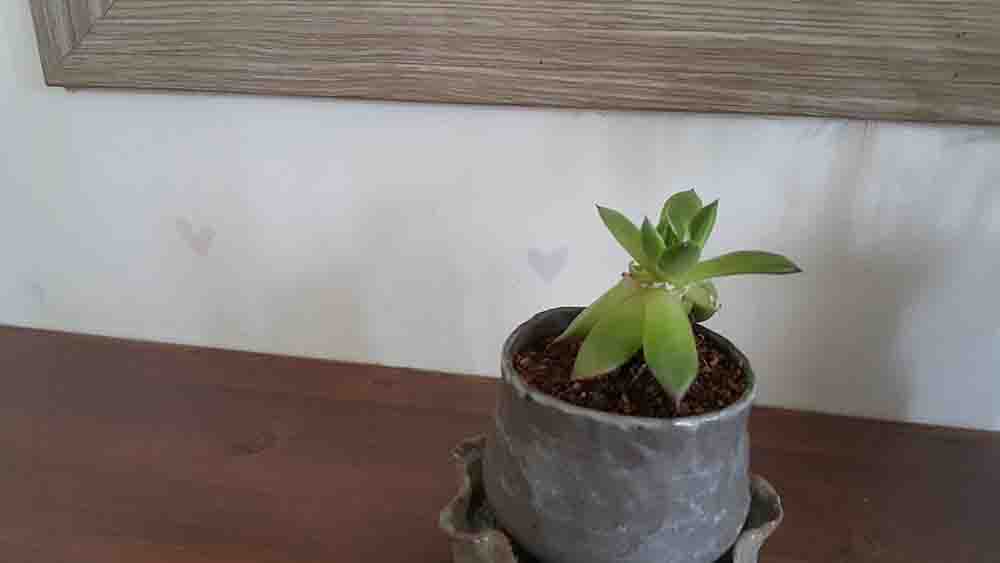 20190601_115613.jpg